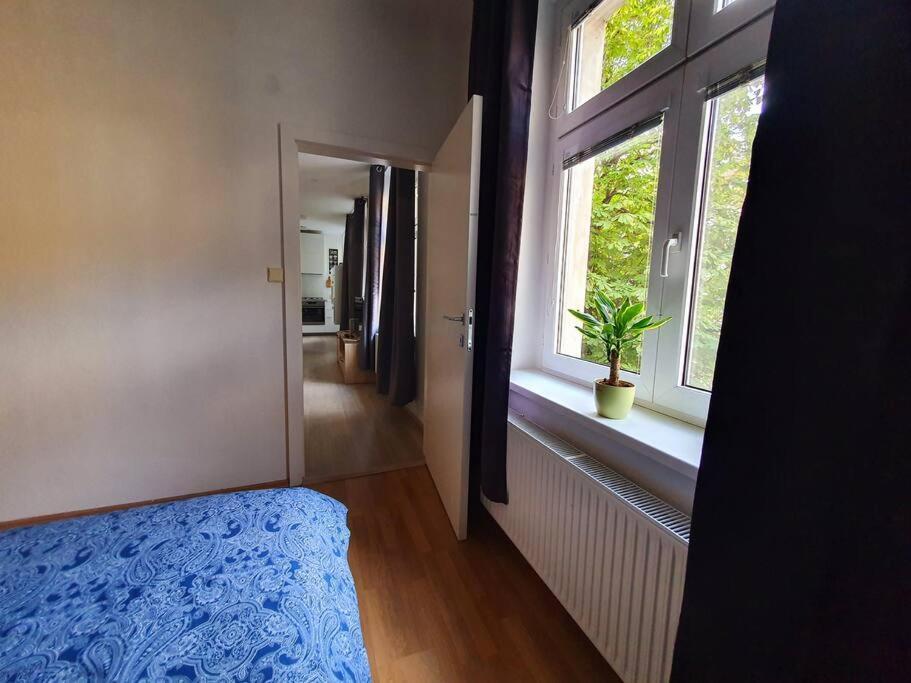 Lovely & Unique Apt In The Historic Center. Pozsony Kültér fotó